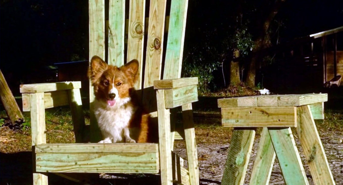 Hand-built wooden outdoor chairs with a small dog sitting in the center chair