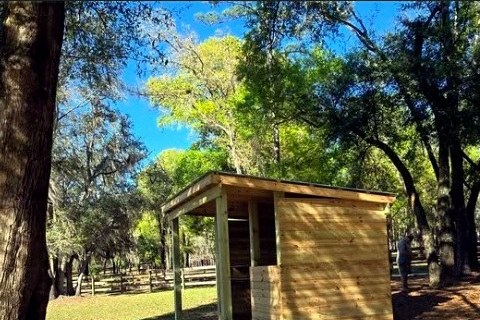 Side view of a wooden run-in shelter beneath trees